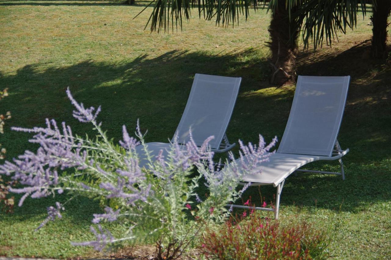 La Lilas Des Fargues Maison D'Hotes Albi Bagian luar foto
